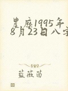 农历1995年8月23日八字算命 农历1995年8月23日八字算命