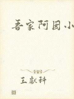 吾家阿囡小说版