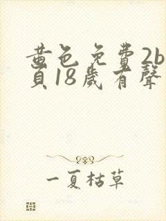 黄色免费2b网页18岁有声音