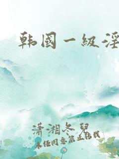 韩国一级淫片