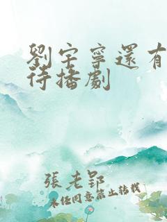 刘宇宁还有四部待播剧