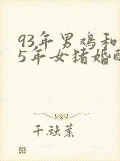 93年男鸡和95年女猪婚配如何