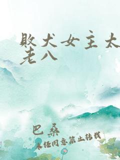 败犬女主太多了老八