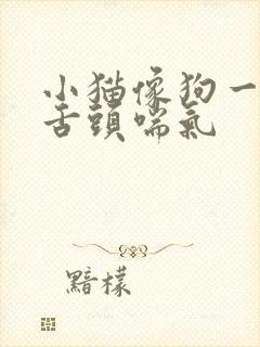 小猫像狗一样吐舌头喘气