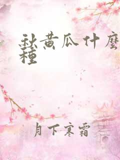 秋黄瓜什么季节种