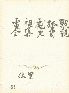 电视剧孤战迷城全集免费观看高清