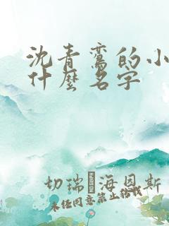 沈青鸾的小说叫什么名字
