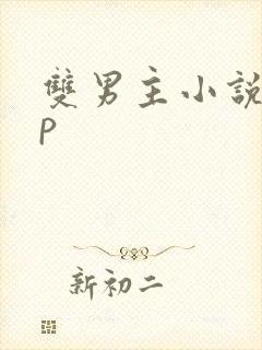双男主小说无cp