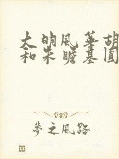 大明风华胡善祥和朱瞻基圆房