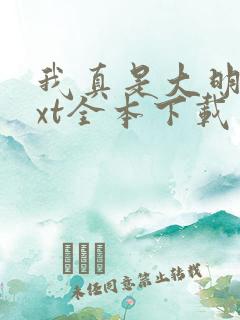 我真是大明星txt全本下载