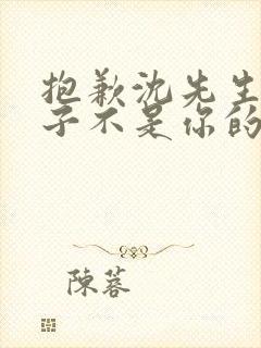 抱歉沈先生,孩子不是你的全集短剧