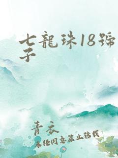 七龙珠18号本子