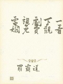 电视剧下一站婚姻免费观看全集剧情