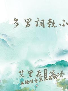 多男调教小说