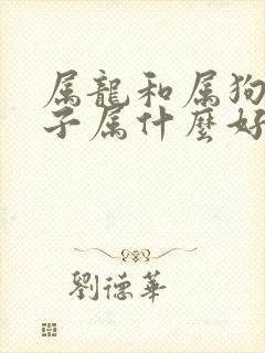 属龙和属狗的孩子属什么好