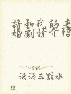 请和我的老公结婚剧情介绍