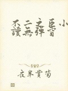 不二之臣小说阅读无弹窗
