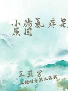 小肠气疼是什么原因
