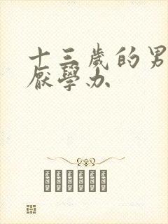 十三岁的男孩的厌学办