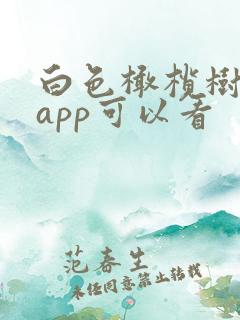 白色橄榄树哪个app可以看 白色橄榄树哪个app可以看