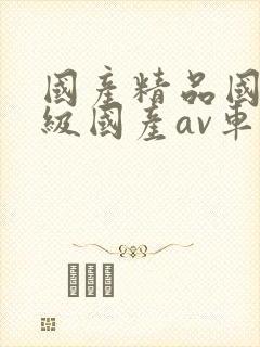 国产精品国产三级国产av车上的