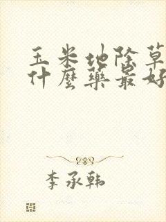 玉米地除草剂用什么药最好