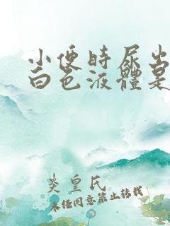 小便时尿出一些白色液体是怎么回事