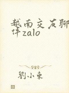 越南交友聊天软件zalo