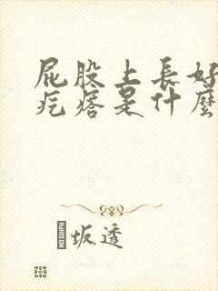 屁股上长好多小疙瘩是什么原因