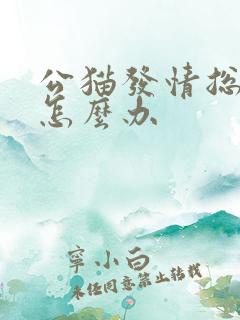 公猫发情总乱尿怎么办
