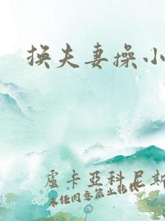换夫妻操小说