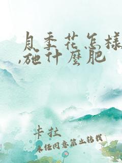 月季花怎样施肥,施什么肥