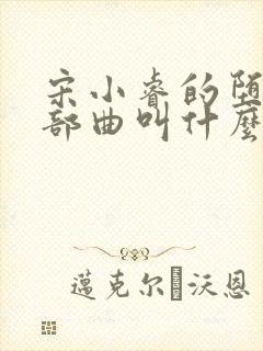 宋小睿的堕落三部曲叫什么