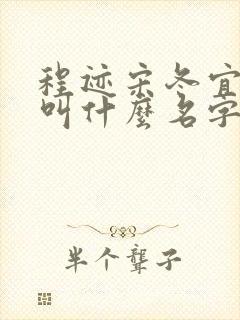 程迹宋冬宜小说叫什么名字