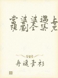 当婆婆遇上妈电视剧全集免费
