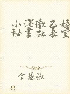 小泽彻已婚人妻秘书社长室
