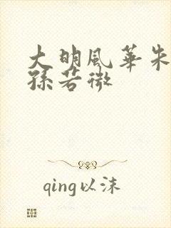 大明风华朱瞻基孙若微