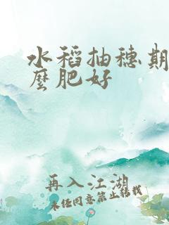 水稻抽穗期施什么肥好