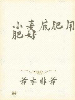 小麦底肥用什么肥好