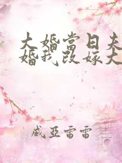 大婚当日夫君逃婚我改嫁大结局