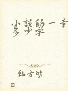 小说的一章大概多少字