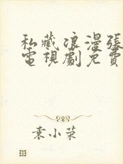 私藏浪漫张佳宁电视剧免费观看