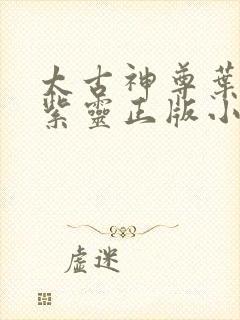 太古神尊叶风叶紫灵正版小说