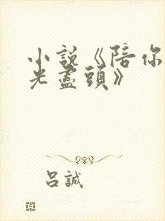 小说《陪你到时光尽头》