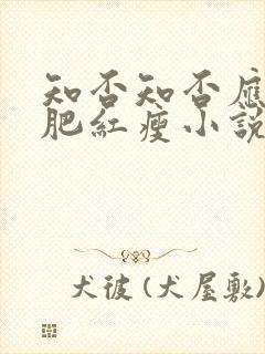 知否知否应是绿肥红瘦小说讲的什么