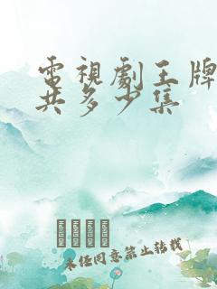 电视剧王牌部队共多少集