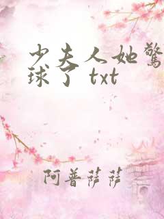 少夫人她惊艳全球了 txt