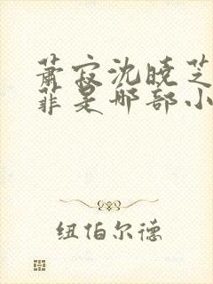 萧寂沈晓芝林菲菲是哪部小说