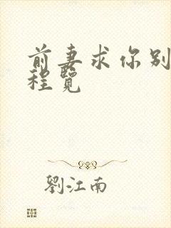 前妻求你别改嫁程览