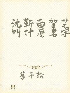 沈靳白贺芝小说叫什么名字啊 沈靳白贺芝小说叫什么名字啊